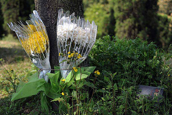 以“回归自然”为主旨的生态殡葬形式