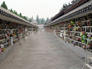 什么是壁葬？关于壁葬的全新解析