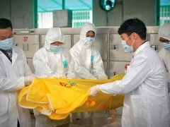 南京殡葬服务-遗体火化的基本流程