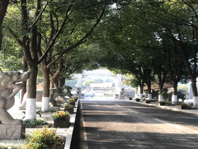 岱山龙泉寺陵园