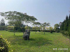 南京殡葬一条龙服务多少钱？2026年最新价格